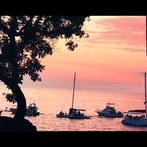 Meet your Posher, Peggy